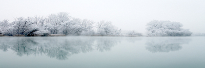 Array Winterlandschaft III von Peter Hillert