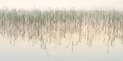 Array Timeless von Uwe Steger