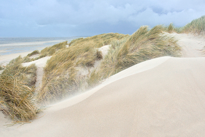 Array Dunes von Georges-Félix Cohen