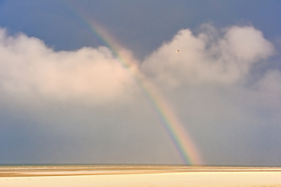 Array Rainbow von Georges-Félix Cohen