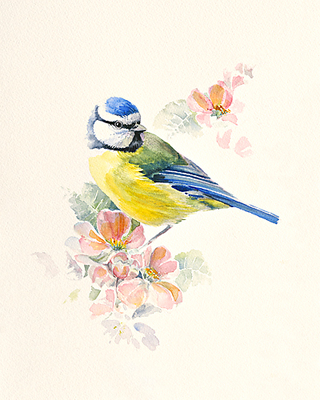 Array Blue Tit von Hilary Mayes