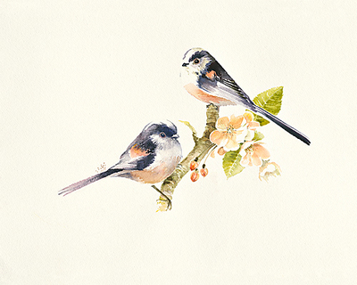 75cm x 60cm Longtailed Tits von Hilary Mayes