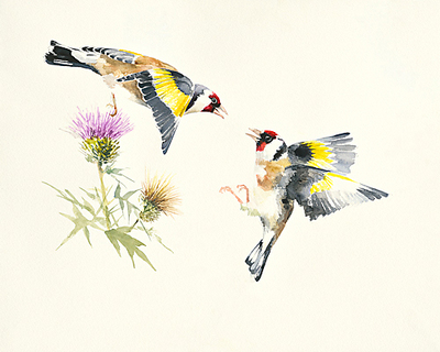 75cm x 60cm Goldfinches von Hilary Mayes