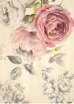 30cm x 40cm Ethereal Roses 1 von Stefania Ferri