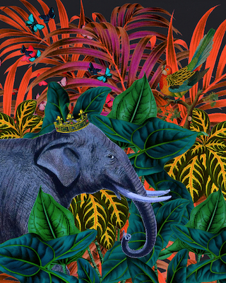 40cm x 50cm Tropical Jungle von Erika C. Brothers