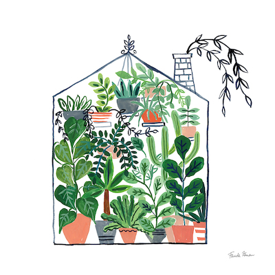 50cm x 50cm Greenhouse II von Farida Zaman