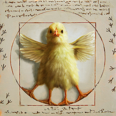 30cm x 30cm Vitruvian Chick von Lucia Heffernan