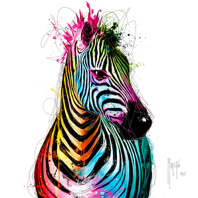 70cm x 70cm Zebra Pop von Patrice Murciano