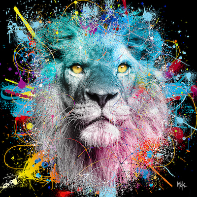 30cm x 30cm Lion Color von Moki