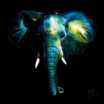 70cm x 70cm Wild Light von Patrice Murciano