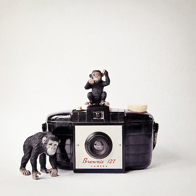 Array Monkey & Vintage Camera von ANNA