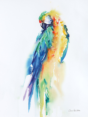 Array Colorful Parrots II von Aimee del Valle