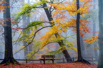 Array Take a Seat an Enjoy von Lars van de Goor