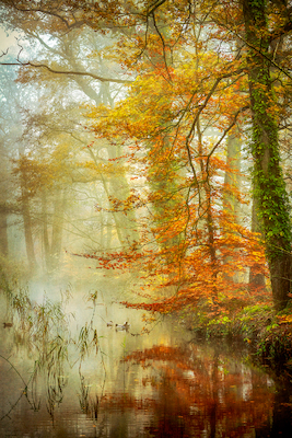 100cm x 150cm In Romance von Lars van de Goor