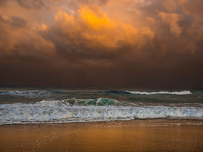 Array Shoreline Gold von Verne Varona