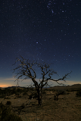 Array Mohave at Night No.1 von Shawn/Corinne Severn