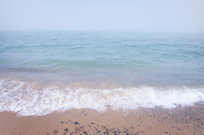 Array Whitefish Point Beach von Alan Majchrowitz