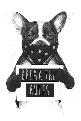 Array Rebel Dog von Balasz Solti