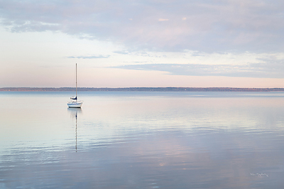 Array Sailboat in Bellingham Bay I von Alan Majchrowitz