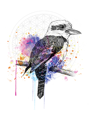 Array Kookaburra von Karin Roberts