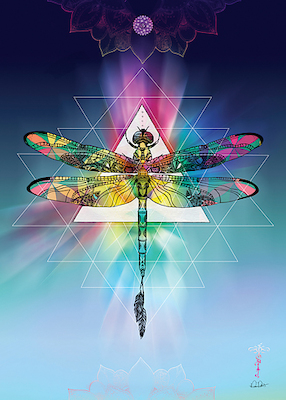 Array Cosmic Dragonfly von Karin Roberts