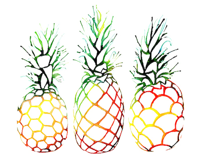 100cm x 80cm Retro Pineapples von Sam Nagel