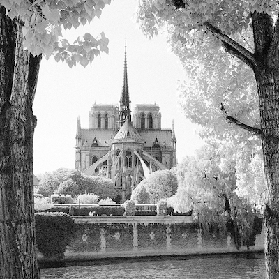 Array France Paris Notre-Dame von Dave Butcher