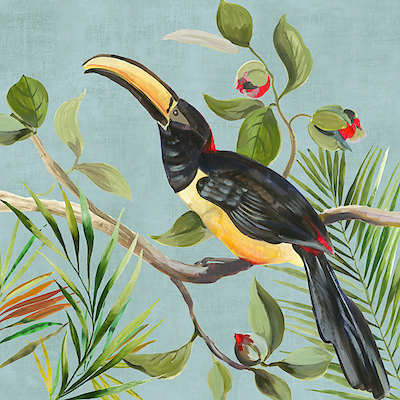 Array Paradise Toucan II von Aimee Wilson