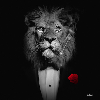 Array Lion Mafia NB von Sylvain Binet