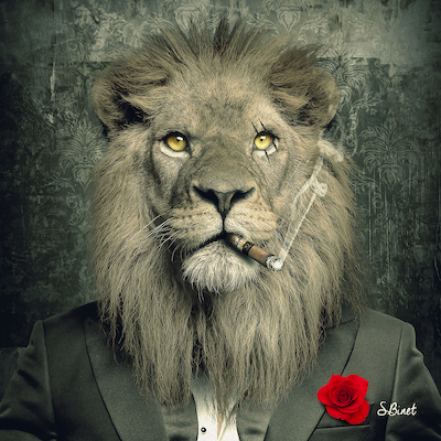 Array Lion Mafia von Sylvain Binet