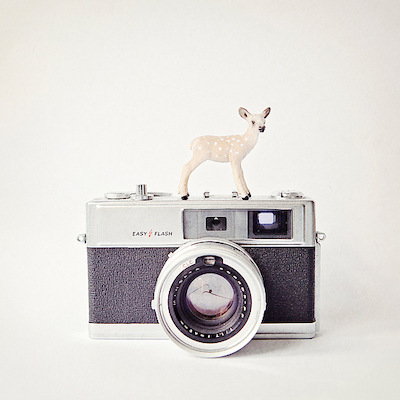 Array Deer & Vintage Camera von Susannah Tucker Photography