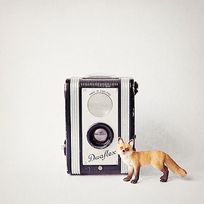 100cm x 100cm Fox & Vintage Camera von ANNA