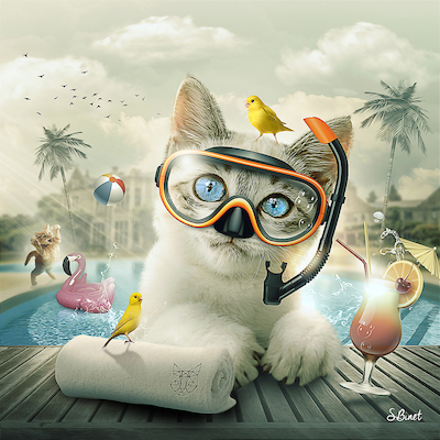 Array Cat piscine von Sylvain Binet