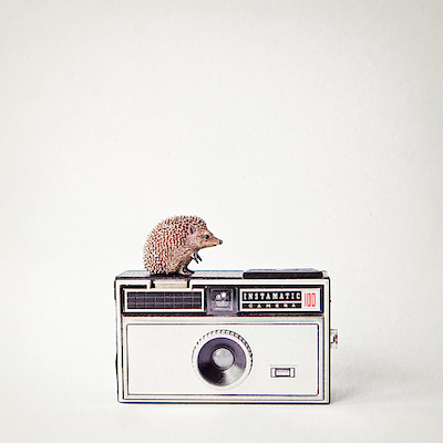 100cm x 100cm Hedgehog & Vintage Camera von ANNA