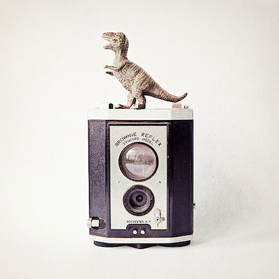 Array T-Rex & Vintage Camera von Susannah Tucker Photography