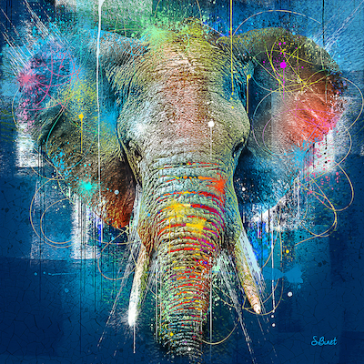 Array Eléphant bleu von Sylvain Binet