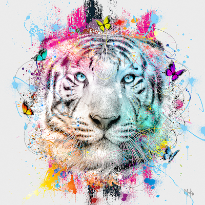 Array Tigre Color von Moki