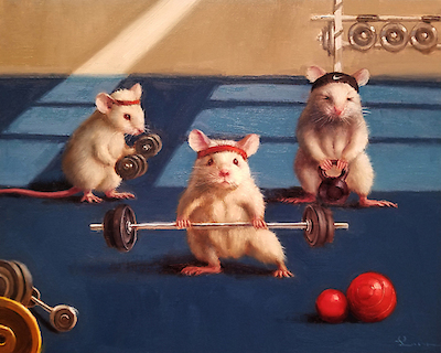 Array Gym Rats von Lucia Heffernan