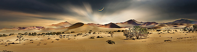 Array Namib Sandsea II von Peter Hillert