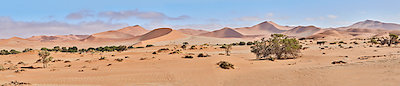 Array Sossusvlei Desert Namib von Peter Hillert
