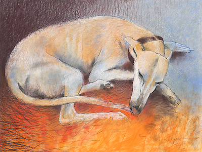 100cm x 75cm Dog resting von Loes Botman