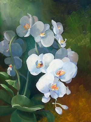 Array Phalaenopsis blanc von Sylvie Vernageau