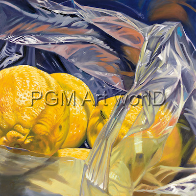 98cm x 98cm Lemon bag, FDT-02 von Thomas           Freund