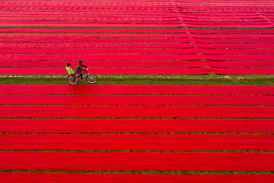 100cm x 67cm Bicycle on red cloths von Azim Khan Ronnie