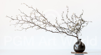 100cm x 55cm Vase And Branch von PBR Images