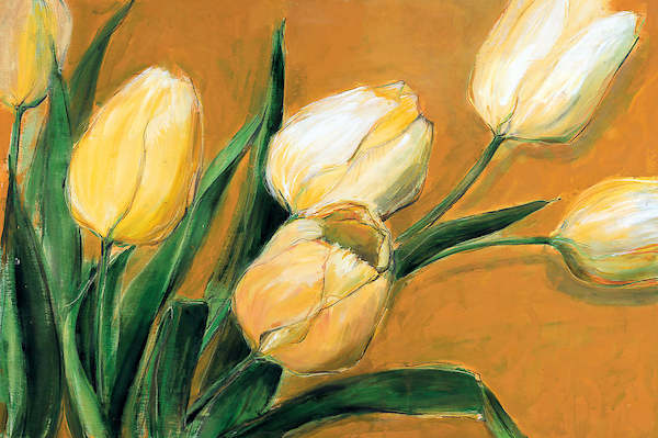 135cm x 90cm Tulipa Nova von Elisabeth Krobs