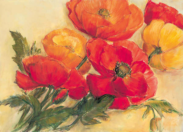 Array Splendid Poppies von Elisabeth Krobs