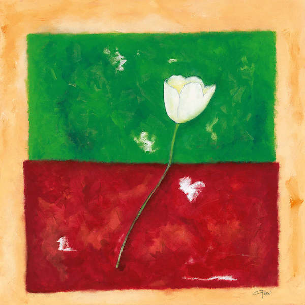 60cm x 60cm Single Tulip von Günter Gohn