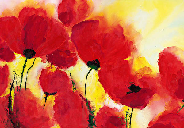 100cm x 70cm Roter Mohn Toskana von Heidi Reil