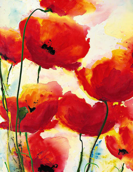 70cm x 90cm Roter Mohn von Heidi Reil